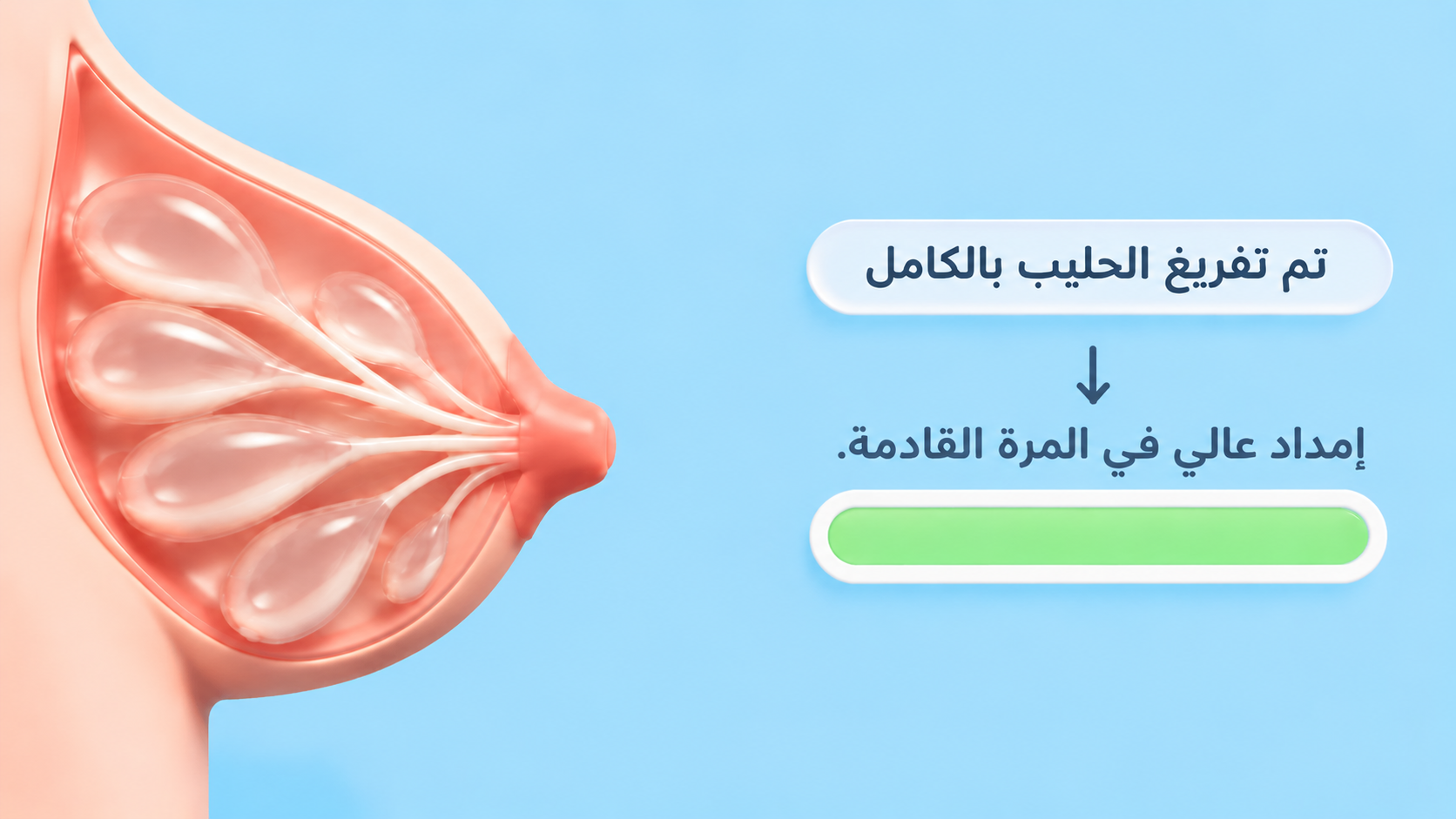 تفريغ كامل